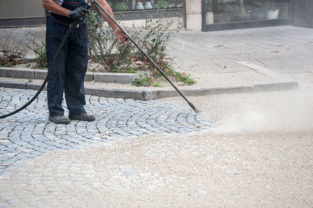 Best Pre-Holiday Cleaning  in Summerde, AL