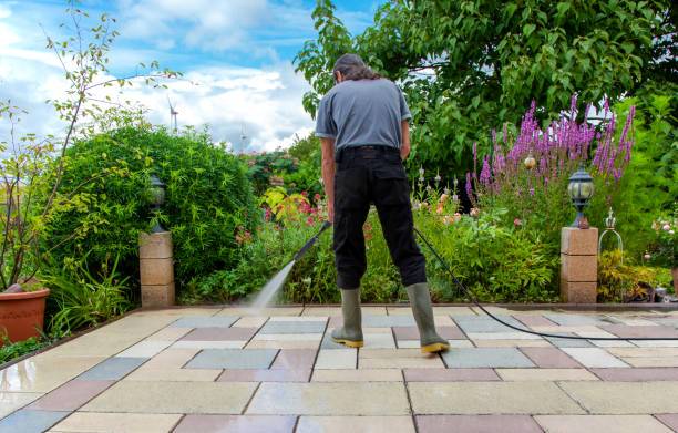 Best Animal Enclosure Cleaning  in Summerde, AL